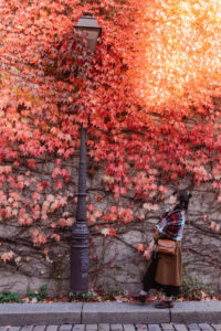 パリ街並み モンマルトル 秋の雰囲気を感じる写真